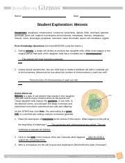 Worksheets are student exploration cell division gizmo answers, explore. Meiosis Gizmo 1 Docx Student Exploration Meiosis Adapted From An Explore Learning Activity Use The Meiosis Gizmo Simulation Assigned To The Class Course Hero