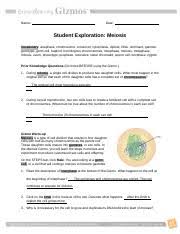 Access to all gizmo lesson materials, including answer keys. Meiosis Gizmo Student Sheet Docx Name Dhruti Pachalla Date Student Exploration Meiosis Vocabulary Anaphase Chromosome Crossover Cytokinesis Diploid Course Hero
