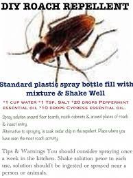 Diy Roach Repellent To Prevent Bugs From Coming In Pestrepeller Pest Control Roaches Diy Pest Control Repellent