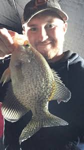 Lake Thompson Profile