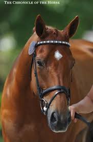 Anita Nemtin-Gilmour Eventing
