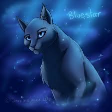 I have difficulty drawing cats floating n' stuff so this was perfect!! Free Download Warrior Cats Wallpaper Bluestar Warriors Bluestar By 1024x1024 For Your Desktop Mobile Tablet Explore 73 Warrior Cats Backgrounds Warrior Wallpaper