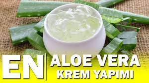 Kreminizin çok yoğun kıvamlı olmasına gerek duymuyorsanız, balmumu kullanmayabilirsiniz. Evde Kolay Aloe Vera Krem Yapimi Pratik Tarif Youtube