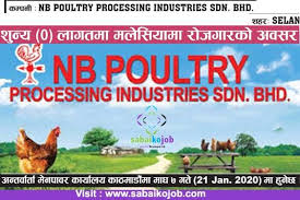 Thousands of vacancies are waiting you. Pin On Malaysia