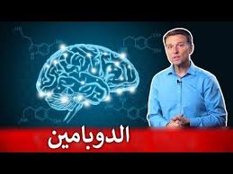 الدوبامين في الدماغ ماهو وكيف نزيده لتحسين المزاج والحيوية youtube neon signs signs neon