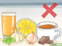 We did not find results for: 3 Ways To Get Rid Of Phlegm In Your Throat Without Medicine