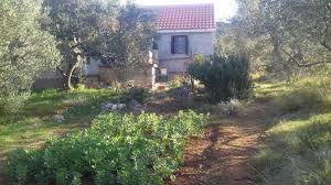 Insel murter, robinson haus erste reihe zum meer murter insel 270.000 € share this: Robinson Tourismus House Pasman Banj Pasman Zdrelac Unterkunft Kroatien