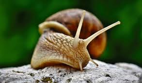 Od rockmana do trybuna ludu. Jan Pospieszalski Gazeta Polska