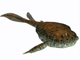 Image result for Bothriocline