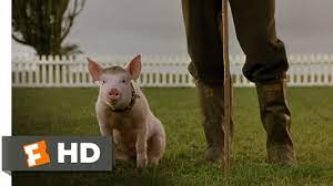 Maybe you would like to learn more about one of these? That Ll Do Pig Babe 9 9 Movie Clip 1995 Hd Youtube