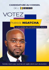 Le 18 juin dernier, j'ai eu l'honneur de participer aux élections des  membres du Conseil de l'Ordre National des Experts-Comptables du Cameroun  (ONECCA). Cet exercice s'est révélé être l'un des plus… |