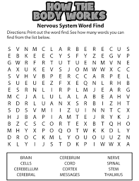 Word Find Brain Nervous System Word Find Human Body Systems Digestive System For Kids