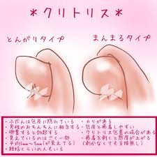 れ い on X: クリトリスって、オナニーでよくクリイキする割にそのものの知識は少ないかも… 私はとんがりタイプで、サイズは割と小さめ  最近だけど、癒着剥がししたらカリがでてきたの🌰👀 感度が上がったかどうかは…前から感度良すぎだったから変化はないような気もする ...