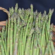Image result for Asparagus schroederi
