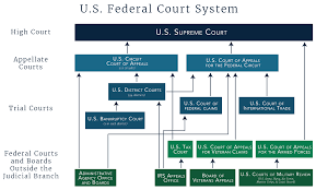 Structure Of The U S Federal Court System In 2019 Circuit