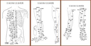 Acupuncture Meridian Points With Reference To The Body Map