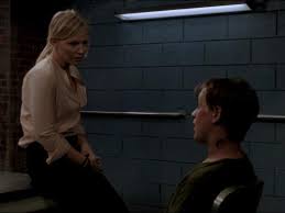 With christopher meloni, mariska hargitay, richard belzer, stephanie march. Double Strands Law And Order Fandom