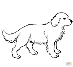 Who doesn't love a puppy? 26 Best Ideas For Coloring Coloring Pages Labrador Retriever