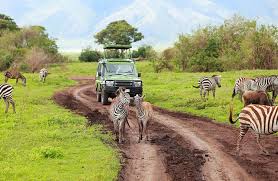 Comprehensive source of information about dhl insert country name here. The Best National Parks In Tanzania