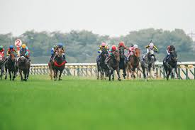 Jul 26, 2020 · 11 r 第20回アイビスサマーd(g3) 芝直線1000m / 天候 : I4jeu6sgtgozgm