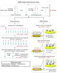 Maternal H-Antigen Secretor Status Is An Early Biomarker For Potential  Preterm Delivery | Journal Of Perinatology