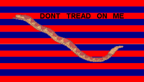 One of several don't tread on me flags. South Carolina Colonial Revolutionary War Flags U S