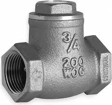 Swing Check Valve, 1-1/4 In, FNPT, Brass - Newegg.com