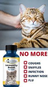 Pin On Cat Health