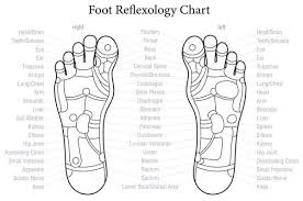 relfexology reflex areas under the feet reflect an image of