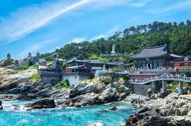 1-Day Tour near Busan Haedong Yonggungsa Temple + Haeundae Beach + Busan Tower + Jakarti Market | Japanese guide, hotel pick-up and drop-off, lunch included in Busan | Pelago