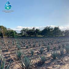 Pin En Tips Y Consejos