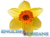Давайте узнаем о каждом из них подробнее. Floristicheskie Simvoly Anglogovoryashih Stran
