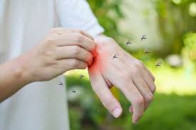 Controle do Mosquito Aedes aegypti: não dê espaço para a Dengue!