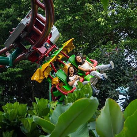 Up, up, and away 🚀 ​ Take flight on the Canopy Flyer and glide through the skies, where the view is as thrilling as the ride. #UniversalStudiosSingapore #RWSMoments #Vacation #ThemePark #BestDayEver