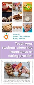 Teach Your Students About The Importance Of Protein With The Village Table Nutrition Curriculum This Lesson Contains Six Activit Nutrition Food Kids Nutrition