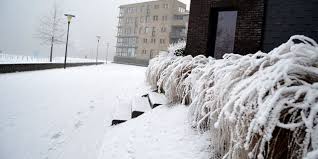 Het knmi heeft donderdag code rood afgekondigd vanwege de storm voor de provincies daarbij is een buienlijn actief met zware windstoten, onweer, hagel en (natte) sneeuw, aldus weerplaza. Knmi Schaalt Op Naar Code Rood Voor Zondag Zwollenu