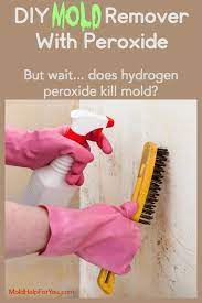 Does Hydrogen Peroxide Kill Mold Mold Help For You
