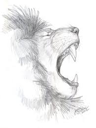 Draw in the back end of the lion. African Lion Sketch By Emryswolf On Deviantart Lion Sketch Animal Drawings Animal Sketches