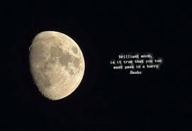 Moon Haiku By Basho Haiku Poetry Haiku Poems Japanese Haiku