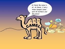 Camels' humps are punishment, if one reads the story how the camel got its hump by rudyard kipling. The Camel Method Used By Permission Of C Wigtake Resources Ppt Download