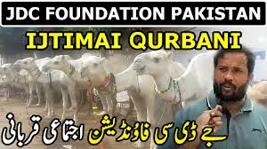 0 videos · 0 followers. Jdc Foundation Pakistan Bakra Eid Qurbani 2019 Zafar Abbas Cow Bakra Ijtimai Qurbani Youtube