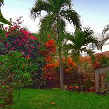 le jardin de la villa plants