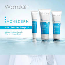 We did not find results for: Wardah Acnederm Series Wardah Acnederm Toner Cleanser Day Night Cream Acne Spot Gel Shopee Indonesia