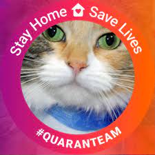 Tri State Spay And Neuter Photos Facebook