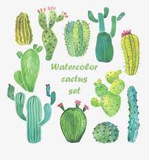Watercolor Cactus Watercolor Cactus Plant Png And Vector With Transparent Background For Free Download Watercolor Cactus Cactus Cactus Drawing