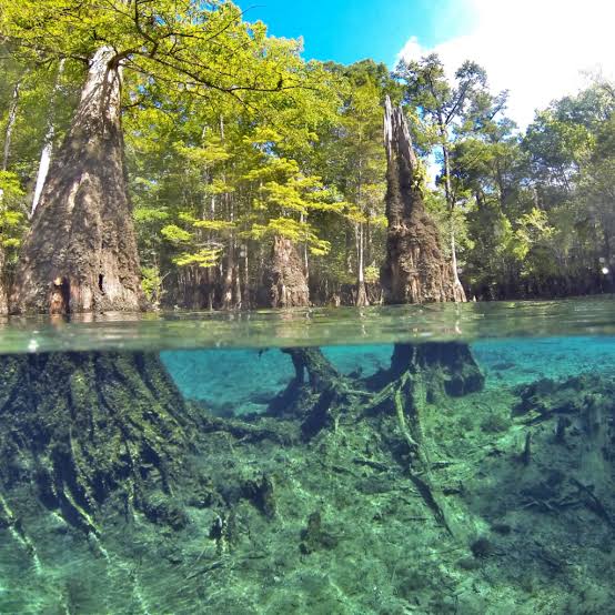 Healthy Habits for Everyday Happiness: Reconnecting with the Outdoors