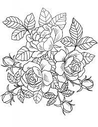 Intricate ornaments of flowers, leaves and fruits, ornate patterns and many small details create a wide scope for creativity and give an opportunity to try any color solutions. Floral Coloring Pages For Adults Best Coloring Pages For Kids Detailed Coloring Pages Rose Coloring Pages Star Coloring Pages