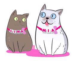 pin by linamia on kediler cat adoption cats adoption