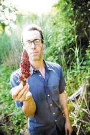 Species with red berries, including smooth and fragrant sumac, produce edible berries. The Lemonade Tree It S Time To Harvest Sumac Edible East End