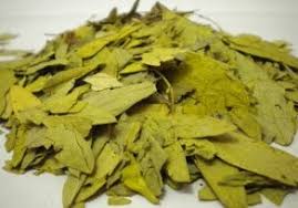 Pantai goa cina terletak di dusun tumpak sewu, sumbermanjing wetan, kabupaten malang. 8 Khasiat Jati Cina Untuk Kesehatan Dan Kecantikan Khasiat